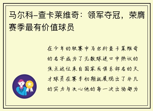 马尔科-查卡莱维奇：领军夺冠，荣膺赛季最有价值球员