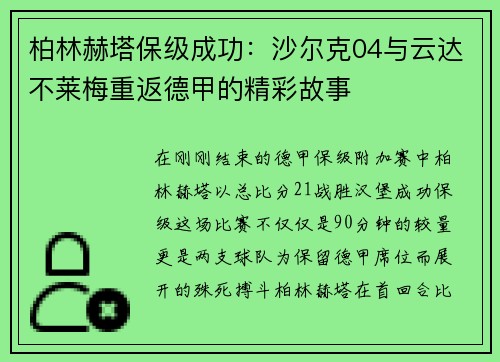 柏林赫塔保级成功：沙尔克04与云达不莱梅重返德甲的精彩故事