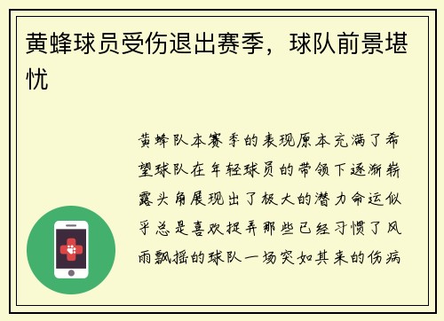 黄蜂球员受伤退出赛季，球队前景堪忧